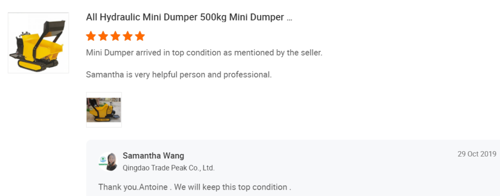 mini dumper qingdao trade peak co.,ltd